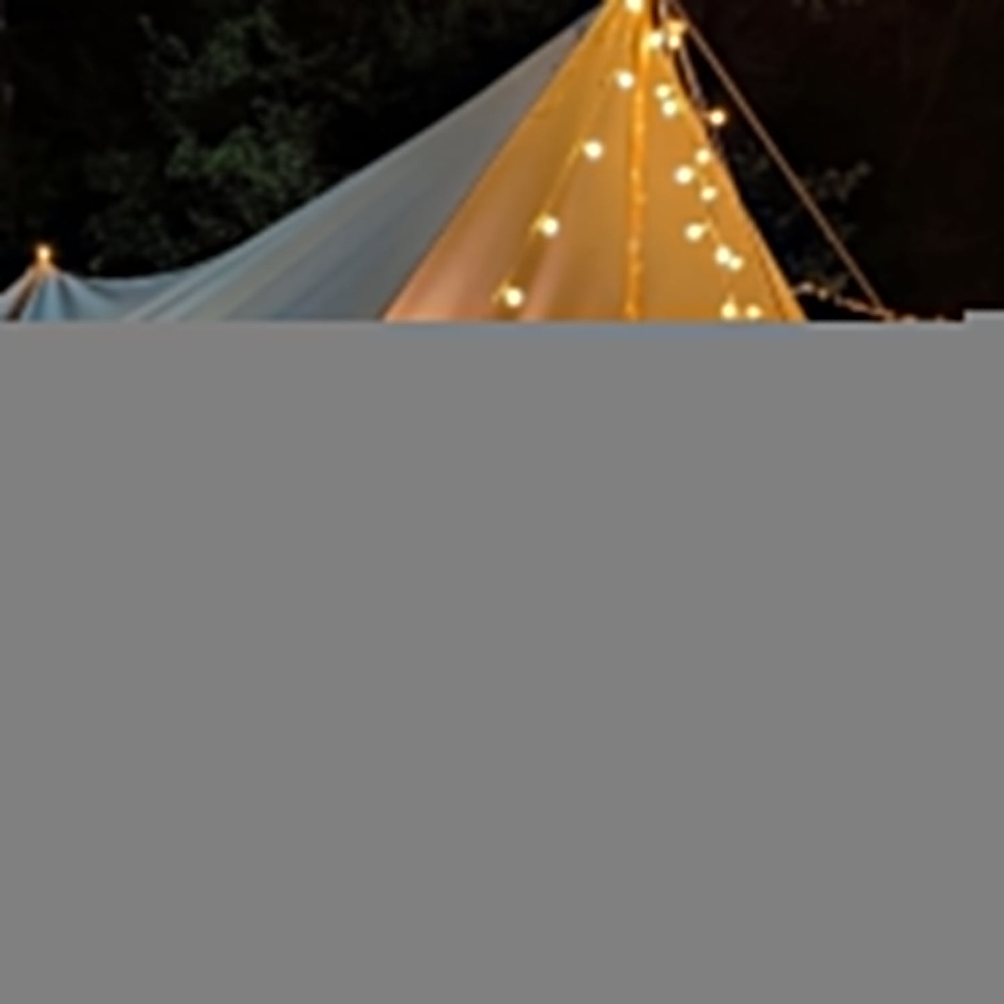 Battery Operated Warm White Globe Ball String Light Your Brand
