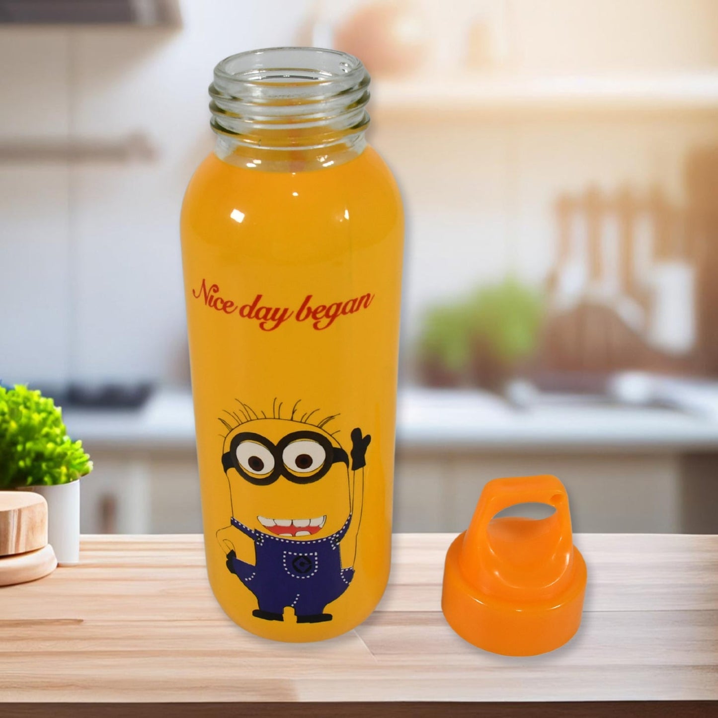 PORTABLE GLASS WATER BOTTLE, CREATIVE GLASS BOTTLE WITH GLASS WATER ( Mix Design) Your Brand