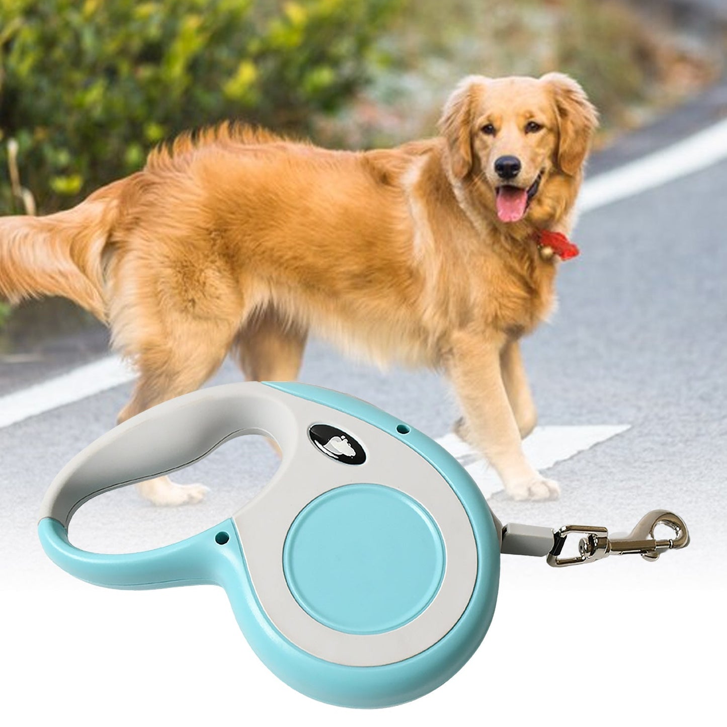 Retractable Dog Leash, Pet Walking Leash with Anti-Slip Handle, Strong Nylon Tape, Tangle-Free, One-Handed One Button Lock & Release, Suitable for Small / Medium Dog Or Cat, 16.5 ft (5 m) Your Brand