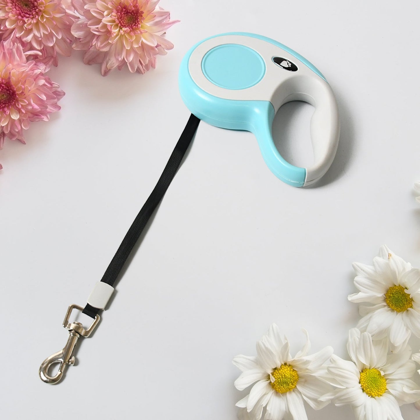 Retractable Dog Leash, Pet Walking Leash with Anti-Slip Handle, Strong Nylon Tape, Tangle-Free, One-Handed One Button Lock & Release, Suitable for Small / Medium Dog Or Cat, 16.5 ft (5 m) Your Brand
