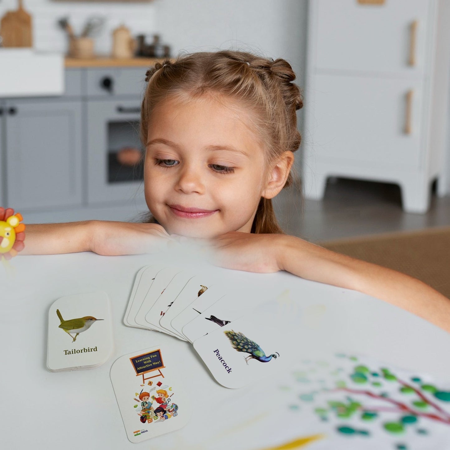 7-in-1 Kidkraft Early Learner Flashcard Combo Set ( 224 PC CARD) Your Brand