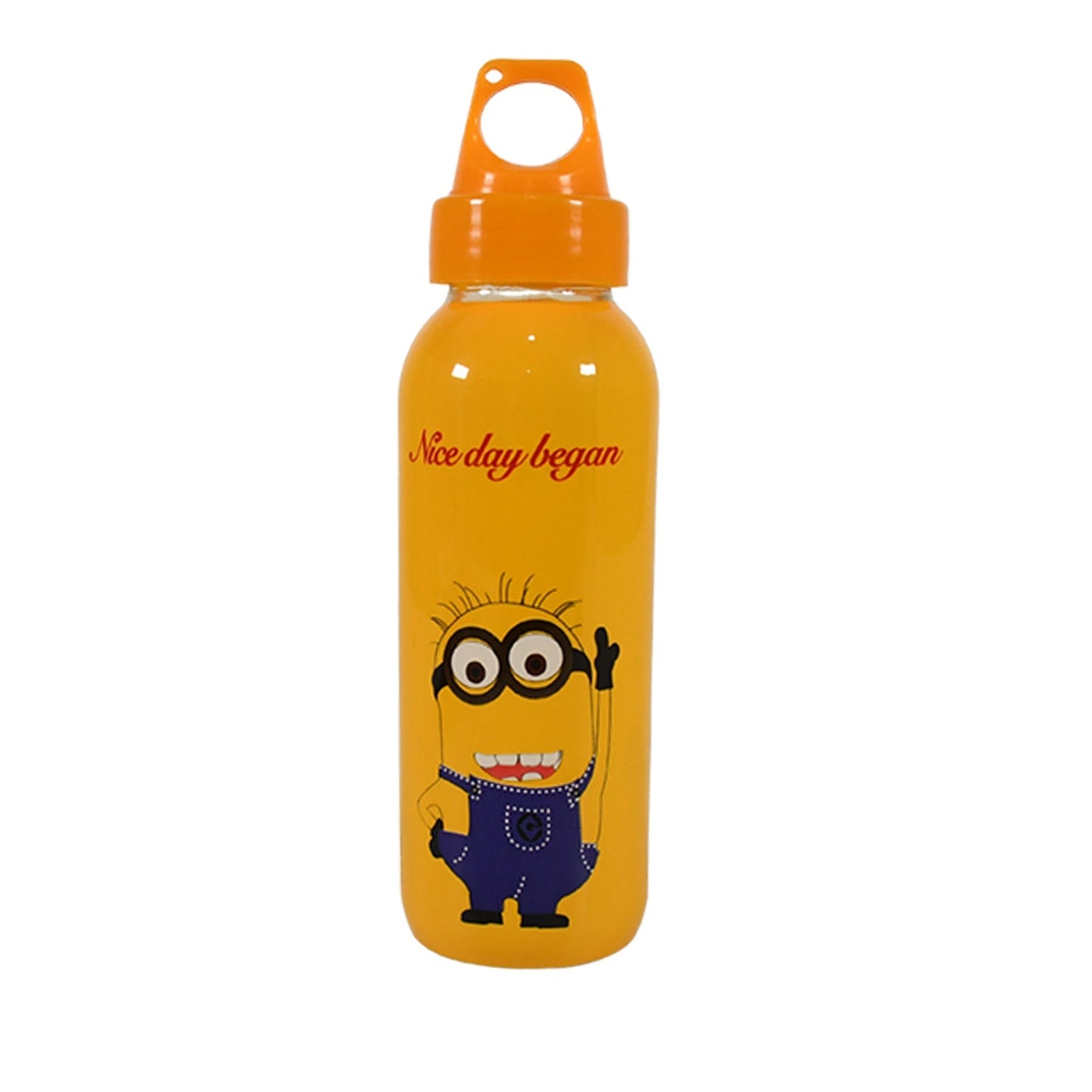PORTABLE GLASS WATER BOTTLE, CREATIVE GLASS BOTTLE WITH GLASS WATER ( Mix Design) Your Brand