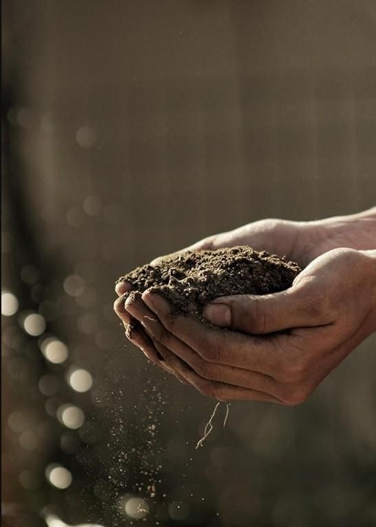 THE GIR FARMER hands holding rich soil and compost close up showcasing organic vermicompost fertilizer for gardening