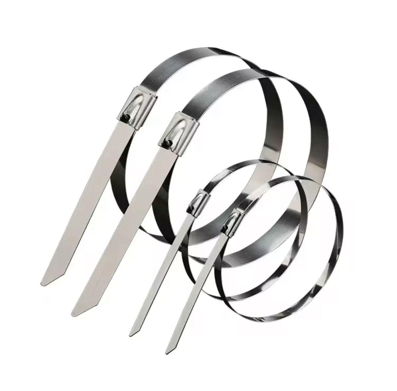 Stainless Steel Cabe Lock Ties (Pack of 10) 8feb97-4