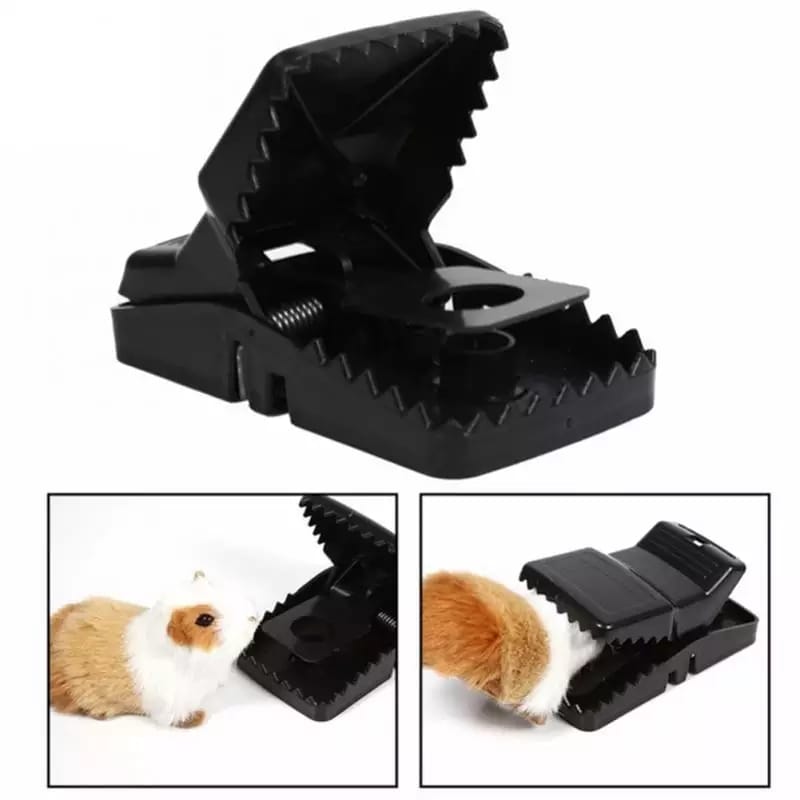 Mouse Trap Cage with Dummy Mouse – Reusable Pest Control for Home & Office (1 Pc) Your Brand