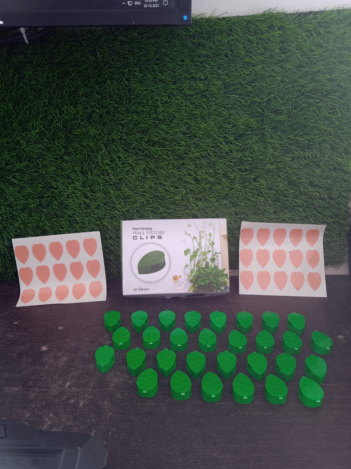 Plant Climbing Wall Fixture Clip Self-Adhesive Hook Vines Traction Invisible Stand Green Plant Clip Garden Wall Clip Plant Support Binding Clip Plants for Indoor Outdoor Decoration (30 Pcs Set) Your Brand