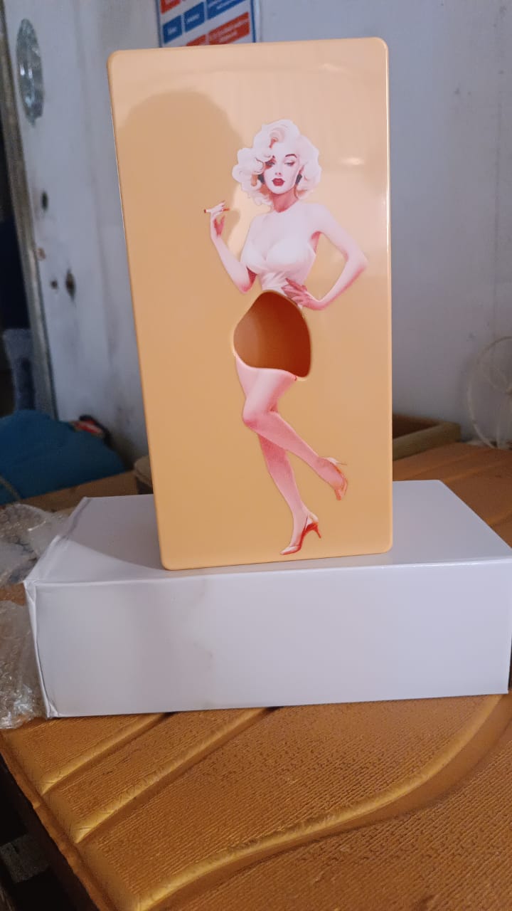 Plastic Creative Tissue Dispenser Box (1 Pc) Your Brand
