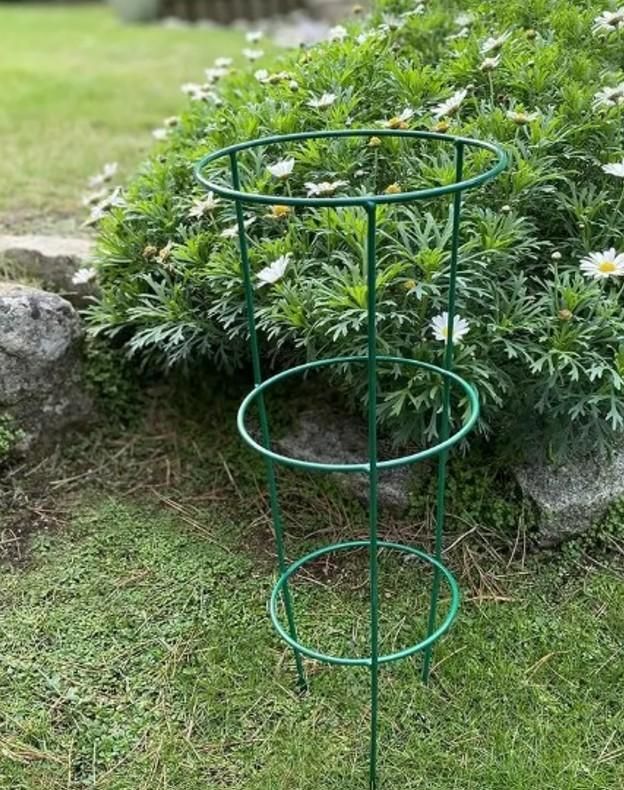 3 Layer Plant Support Cage 8feb97-4