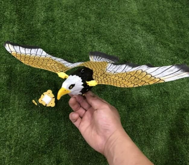 Realistic Flying Eagle Bird Toy with Spread Wings 8feb97-4