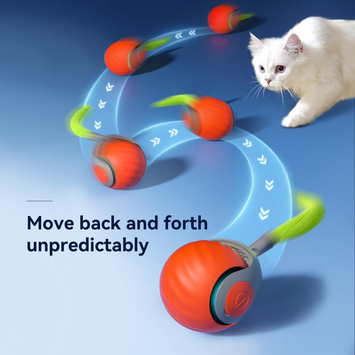 Rolling Ball Cat Toy 8feb97-4