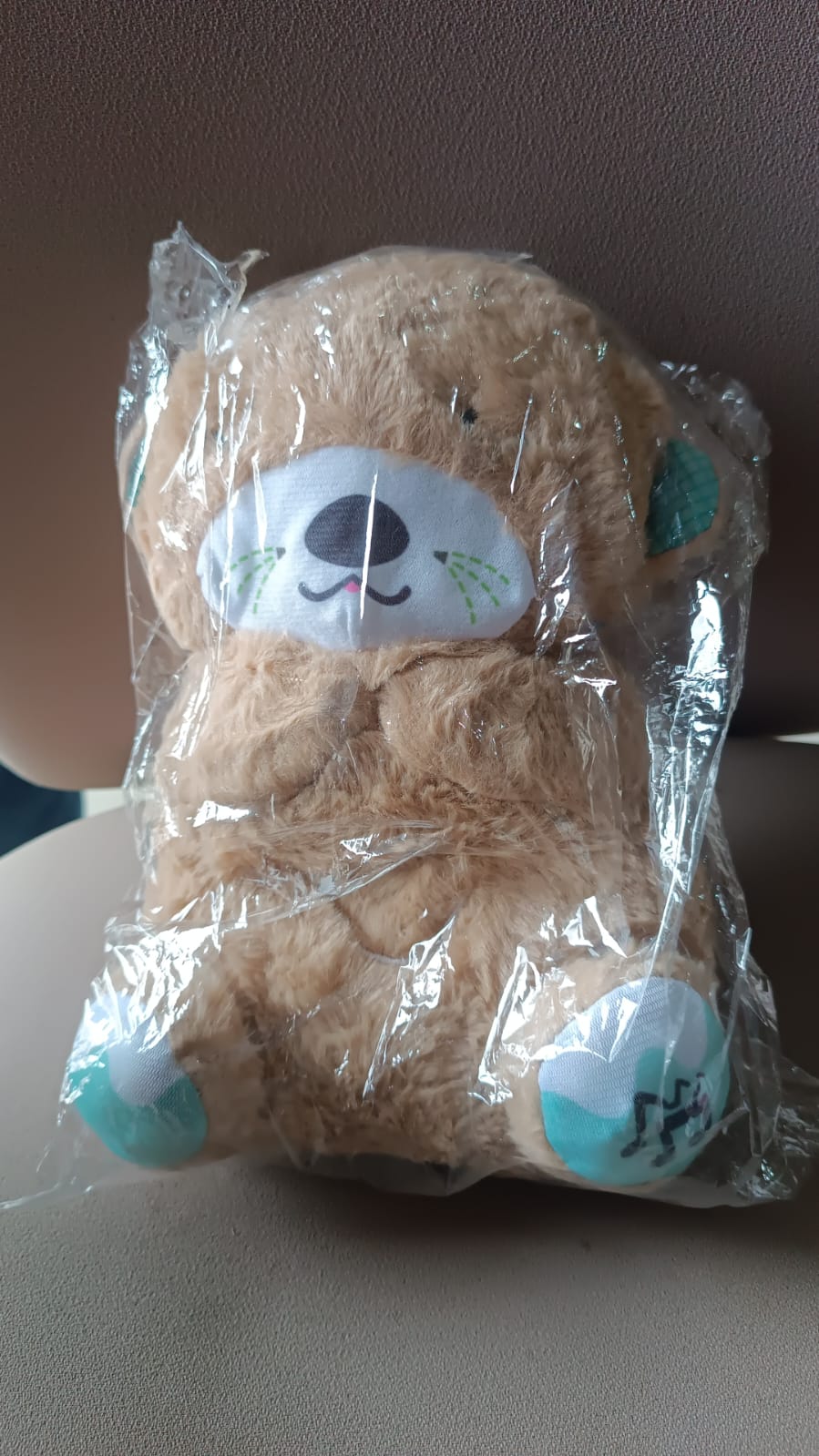 Soft Plush Musical Teddy Bear Toy with LED Light (1 Pc) Your Brand