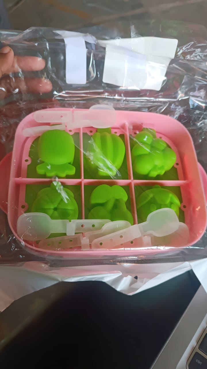 6-Cavity Silicone Ice Cream and Popsicle Mold Tray (1 Set) Your Brand
