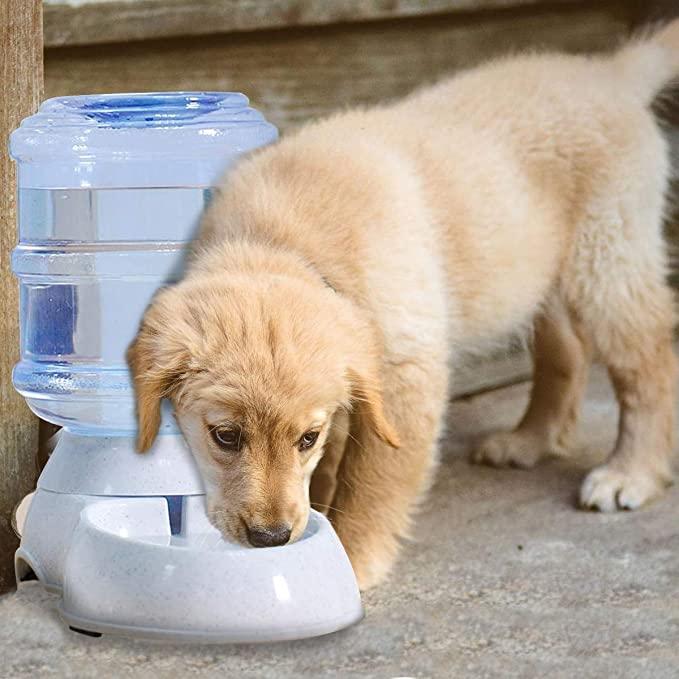Light brown puppy drinking water from THE GIR FARMER automatic pet water dispenser with clear water container