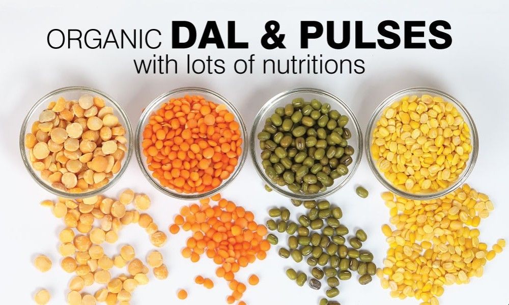 dal--pulses - THE GIR FARMER