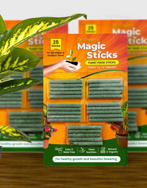 Organic plant food sticks pack with 25 magic sticks for indoor and outdoor plants