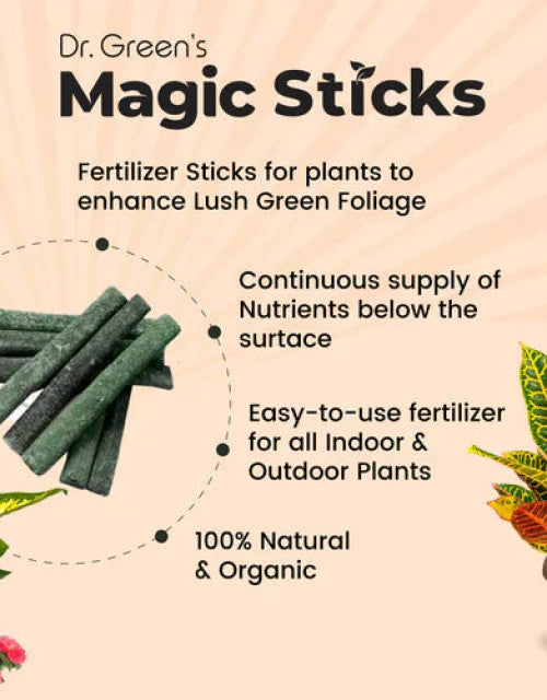 Dr Green's Magic Sticks Organic Plant Food Sticks for Easy Fertilizing of Indoor and Outdoor Plants