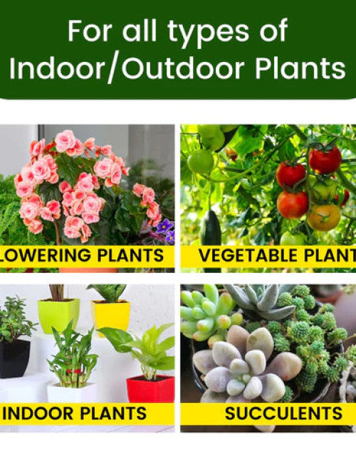 Organic plant food sticks for all types of indoor and outdoor plants including vegetables and succulents