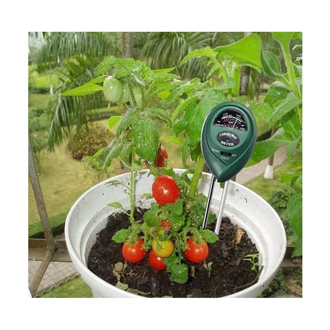 Garden soil tester for home use inserted in soil of tomato plant in white pot outdoors