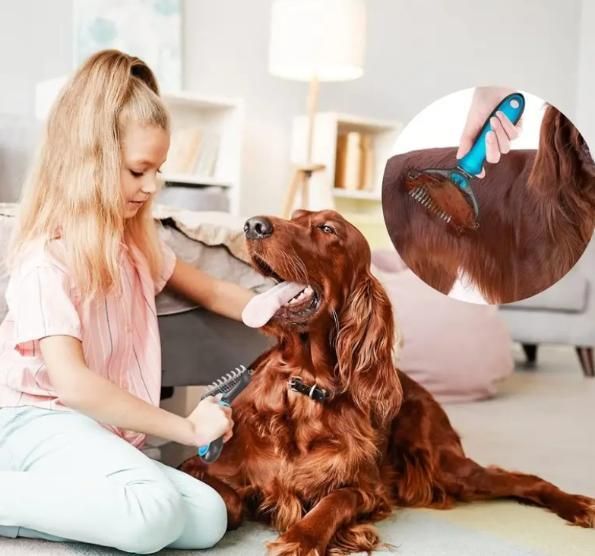 Girl using gentle grooming tool for pets to brush a large brown dog indoors