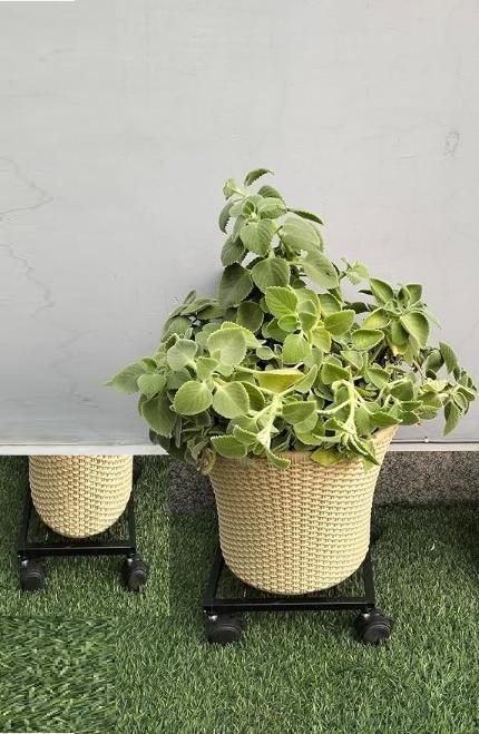 Indoor planter stand on wheels with woven basket and lush green plant on artificial grass