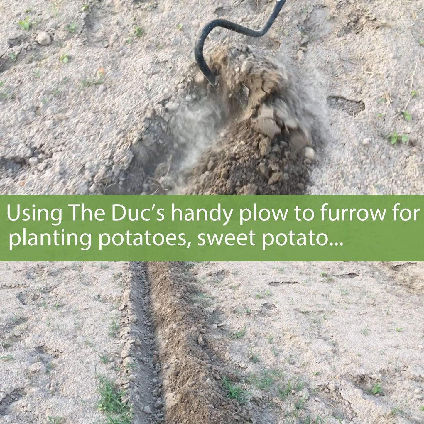 The Gir Farmer manual soil cultivator tool digging furrow in dry soil for planting potatoes