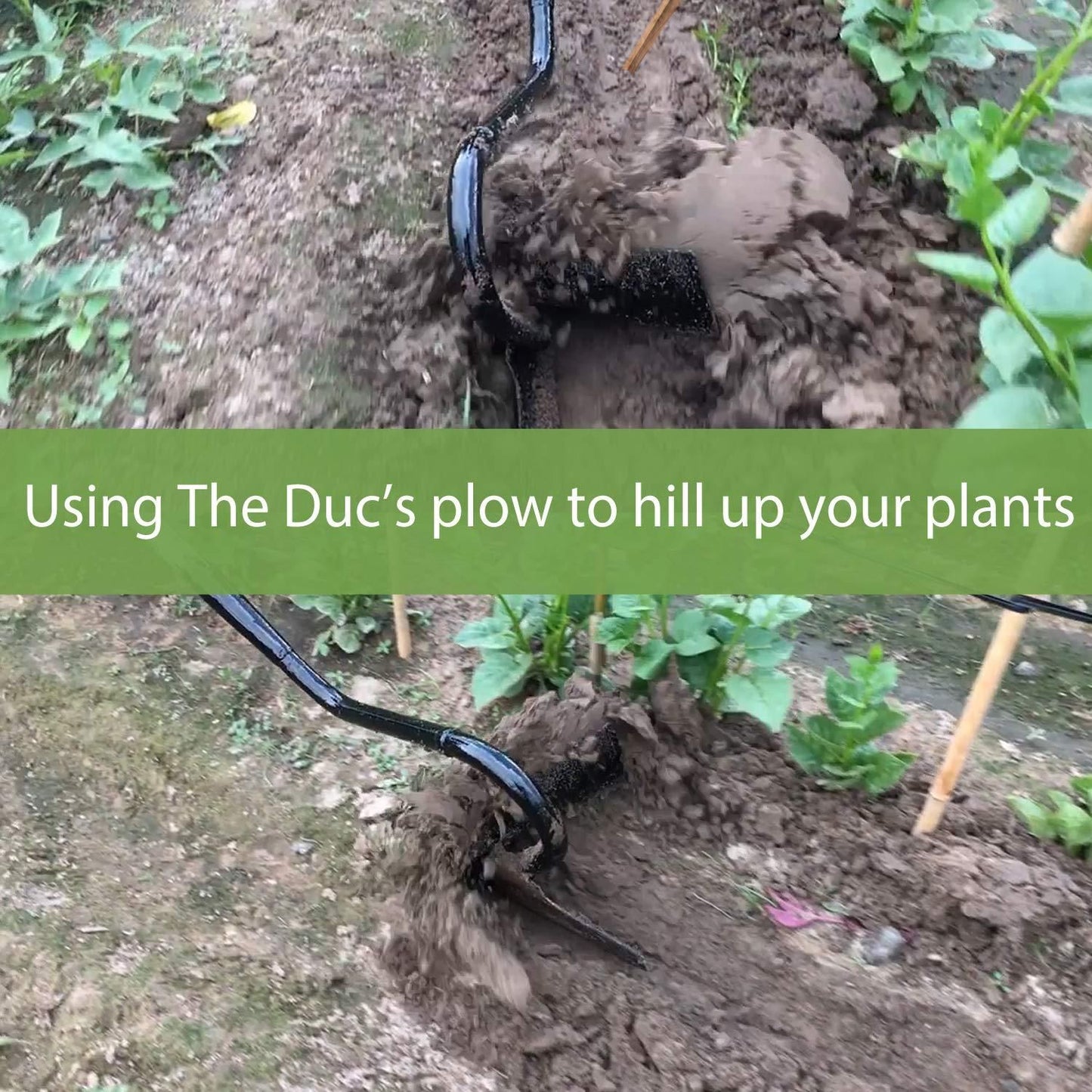 Manual soil cultivator tool from The Gir Farmer being used to hill up soil around plants