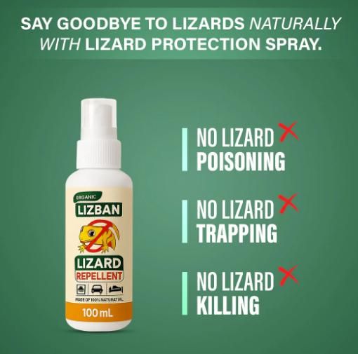 THE GIR FARMER chemical-free lizard control spray bottle with natural lizard repellent and no poisoning trapping or killing