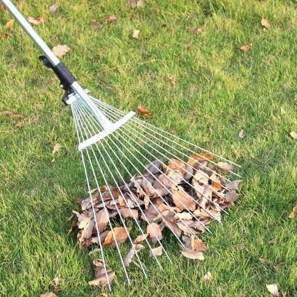 Metal yard rake for lawn care with long handle gathering dry leaves on green grass