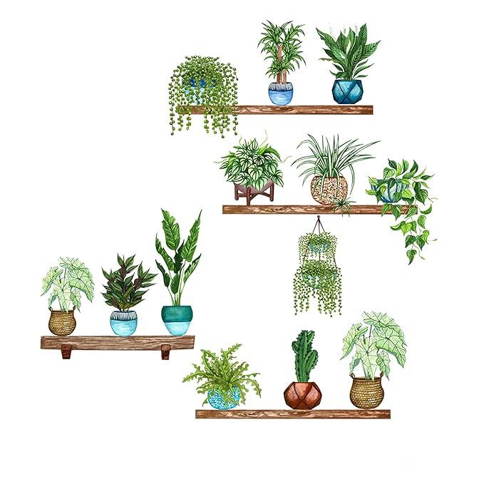 Collection of green potted plants on wooden shelves monstera wall stickers by THE GIR FARMER