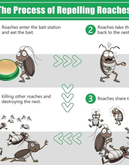 Illustration explaining the process of using natural roach repellent to eliminate roaches and their nest