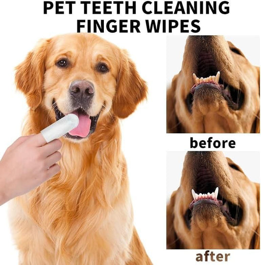 Dog having teeth cleaned with cat and dog oral care wipes showing before and after results