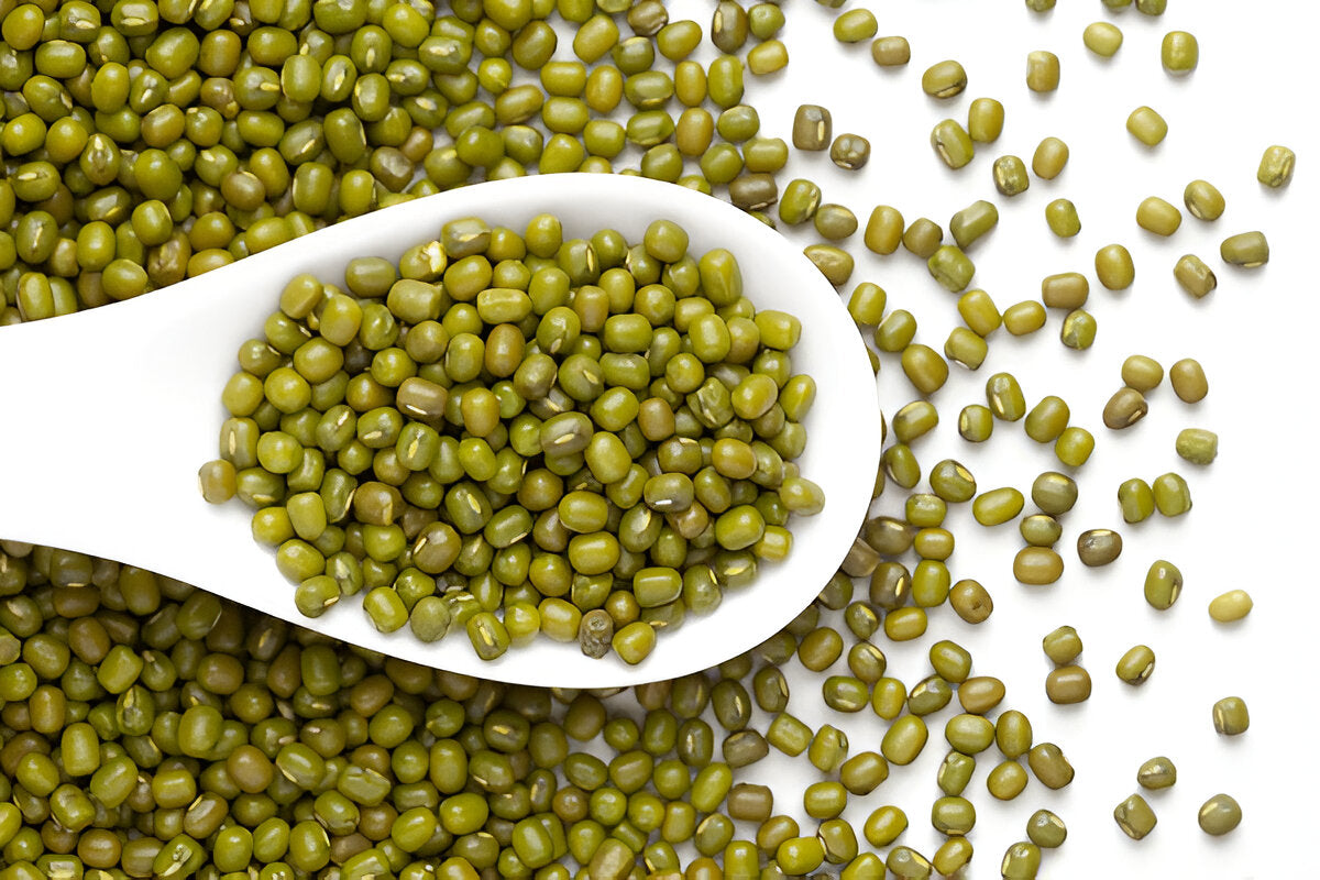 Organic green moong beans dal from THE GIR FARMER shown in a white spoon with scattered beans