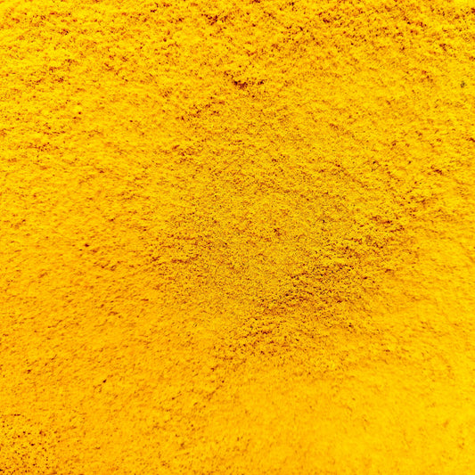 Fine yellow powder of organic haldi powder from THE GIR FARMER for culinary and wellness uses
