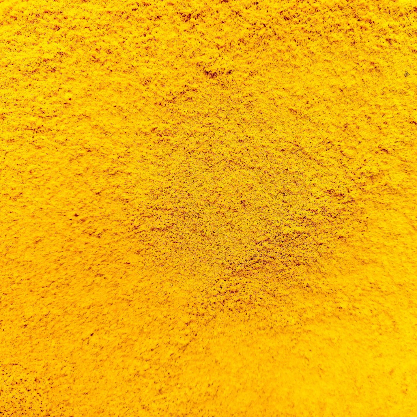 THE GIR FARMER Organic Haldi Powder for Pure Flavor