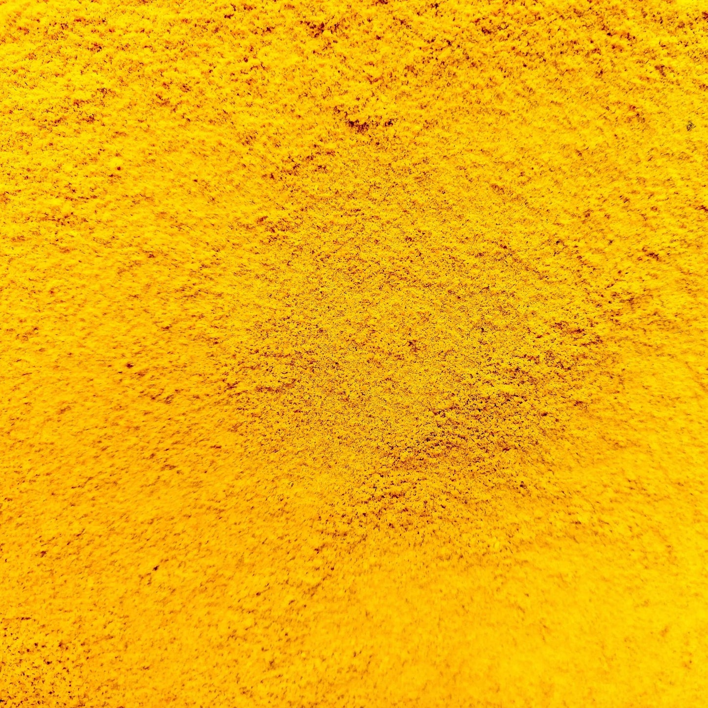 THE GIR FARMER Organic Haldi Powder for Pure Flavor