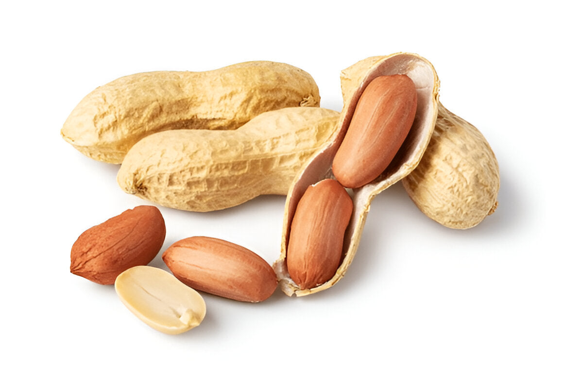 Organic raw peanuts with shells and split kernels from THE GIR FARMER sing dana product