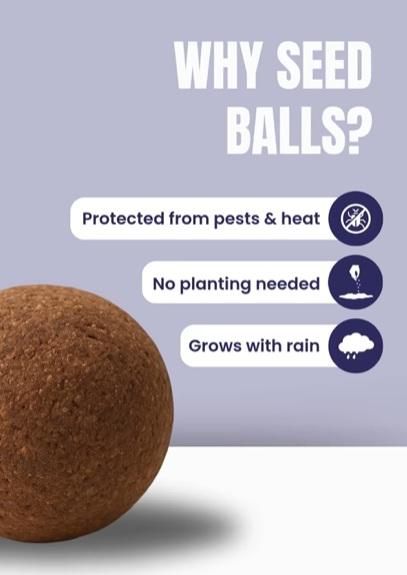 Organic seedballs pack showcasing a seed ball protected from pests and heat that grows with rain and needs no planting