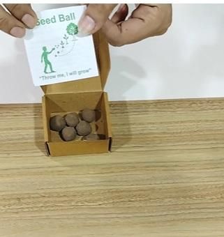 THE GIR FARMER organic seedballs pack with eco-friendly seed balls in a small cardboard box