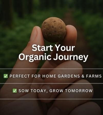 Hand holding one organic seedball from THE GIR FARMER organic seedballs pack for home gardens and farms