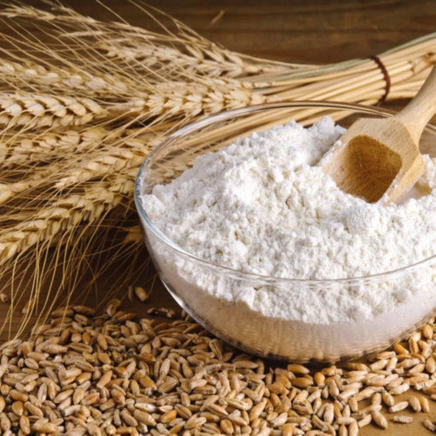 Organic whole wheat flour in a bowl with wheat grains and a wooden scoop for fresh baking needs