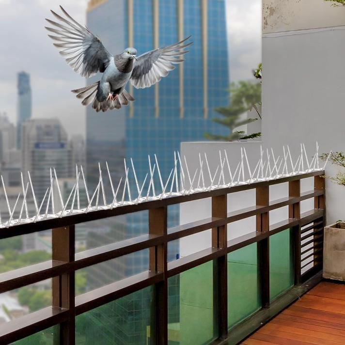 Pigeon control spikes set installed on a balcony railing to deter birds from landing