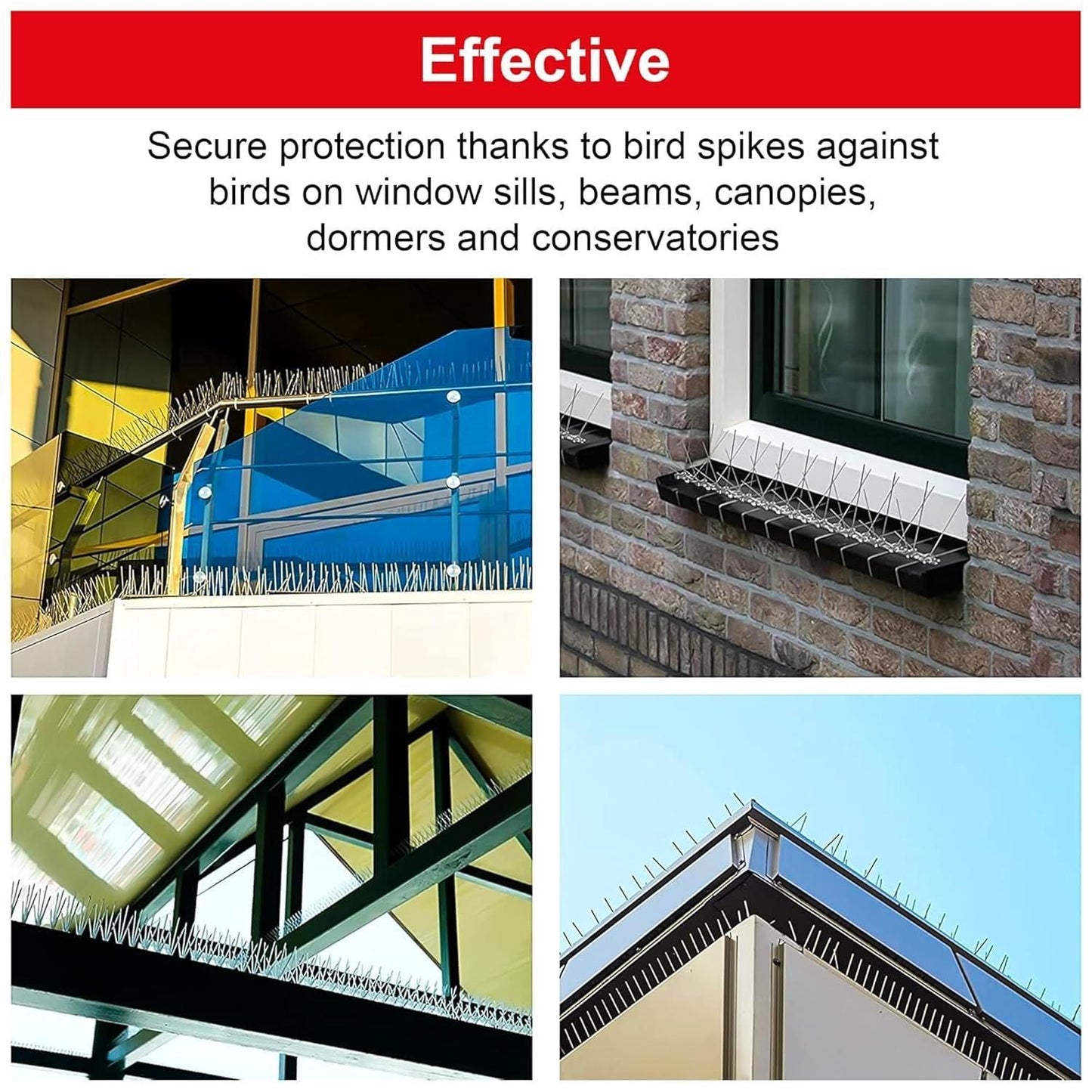 Pigeon control spikes set installed on various surfaces to deter birds effectively