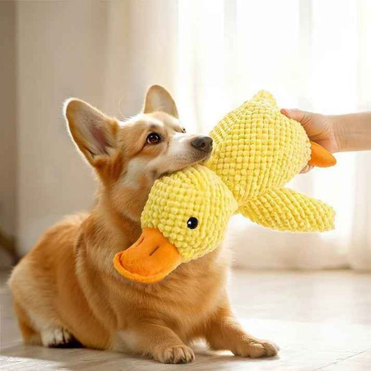Plush Dog Toy — Soft & Cuddly Duck Toy By The Gir Farmer
