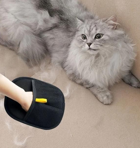 THE GIR FARMER pet hair removal gloves on hand grooming long haired gray cat on beige sofa