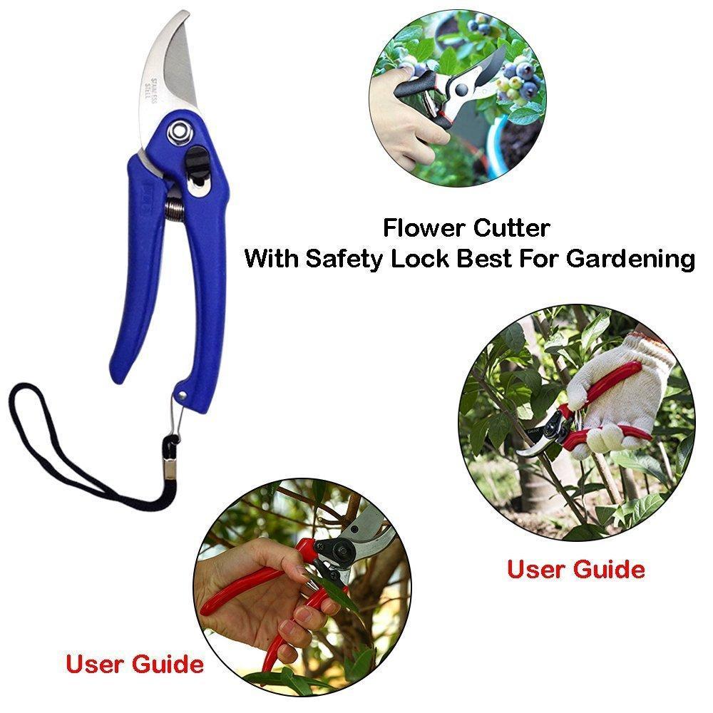 Stainless steel garden scissors with blue grips and safety lock for effective pruning in gardening