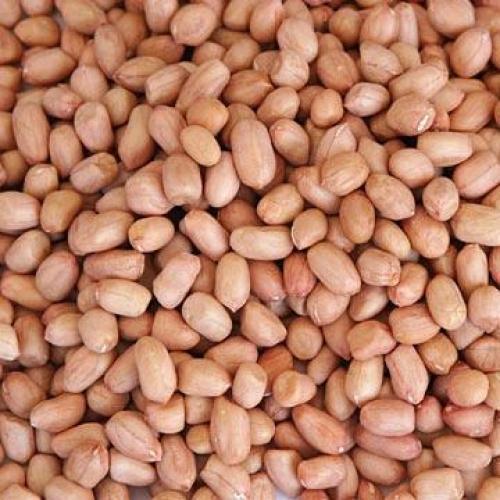 Organic Raw Peanuts 350g - Naturally Grown & Nutrient-Rich!