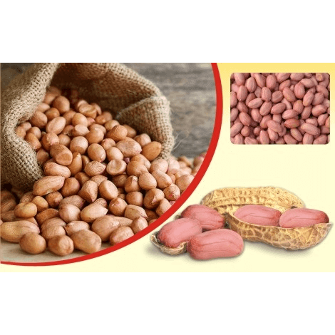 Raw sing dana peanuts in a burlap sack with some shelled and unshelled peanuts on display