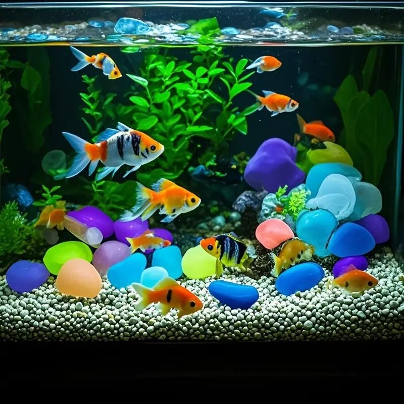 Colorful mixed color glow stones for pathways displayed in aquarium with orange and black fish swimming around