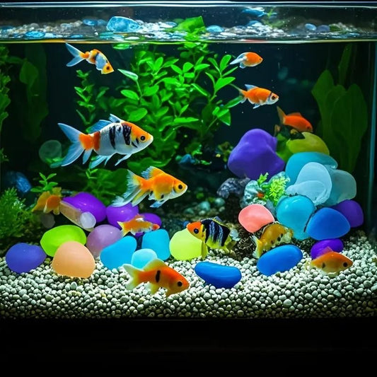 Colorful mixed color glow stones for pathways displayed in aquarium with orange and black fish swimming around