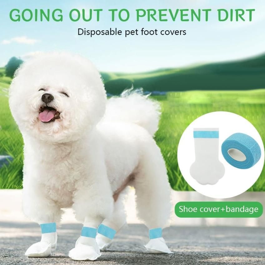 Small white fluffy dog wearing waterproof dog paw covers with blue bands on a sidewalk